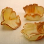 Tulipas