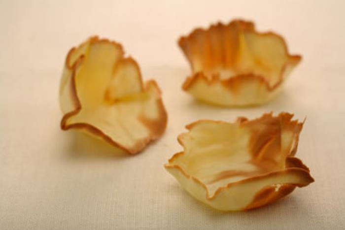 Tulipas