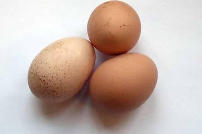 Saber si los huevos son frescos