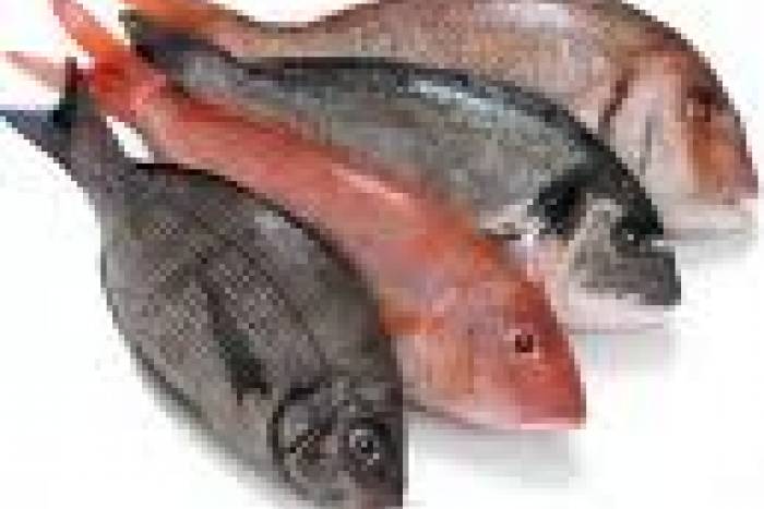Conservar el pescado en nevera