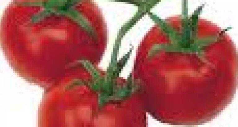 Tomate
