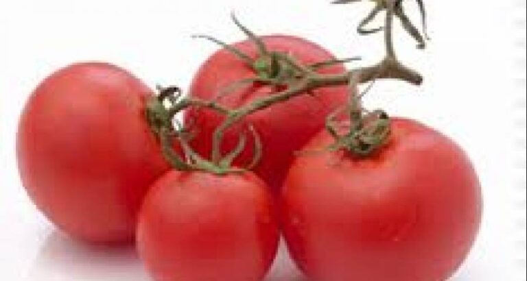 Tomates