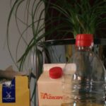 Bizcocho de jengibre