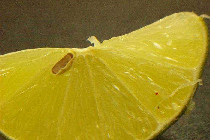 Mermelada de limón