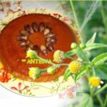 Tarta de bellotas