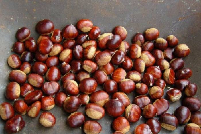 Castañas pilongas