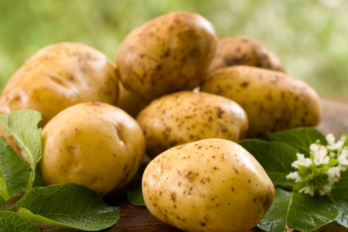 Aprovecha la fécula de las patatas