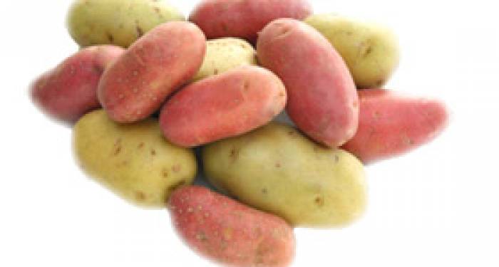 La patata