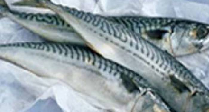 Las grasas omega-3
