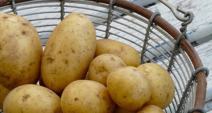 La patata