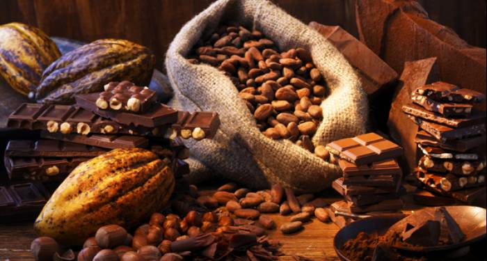 El cacao