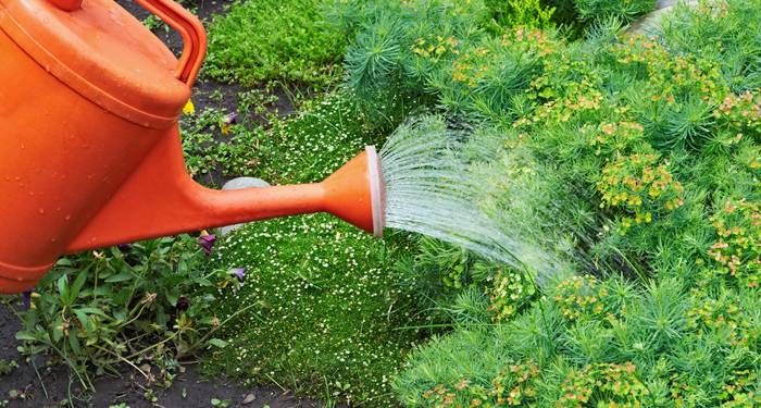 ¿un huerto en tu balcón?