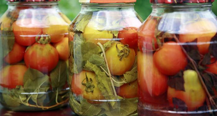 Productos de temporada todo el año