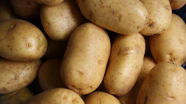 Patatas cocidas: 13 deliciosas recetas