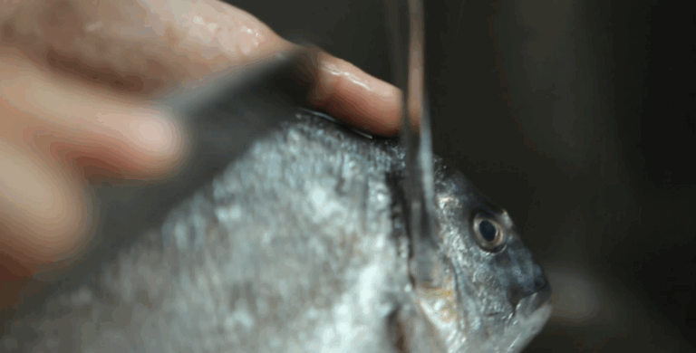 De un solo vistazo puedes comprabar la frescura del pescado ya que es bastante sencillo.