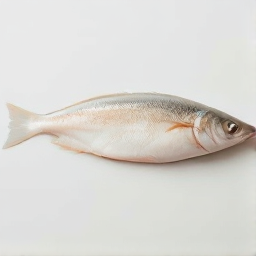 Rapantes