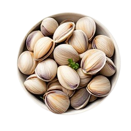 almejas