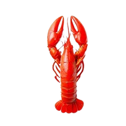 bogavante