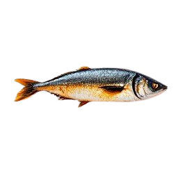 caballa