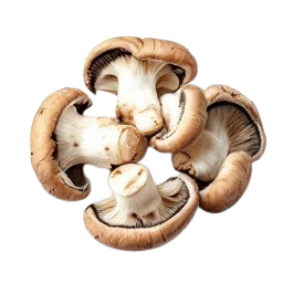 champinones