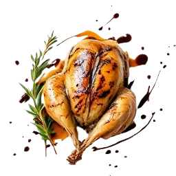 codorniz
