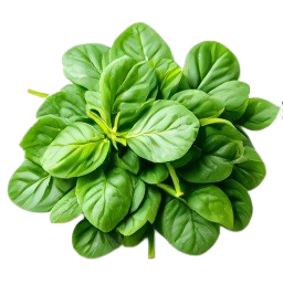 espinacas