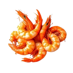 gambas