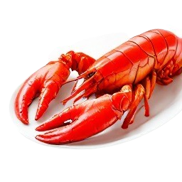 langosta