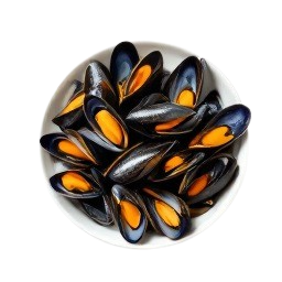 mejillones