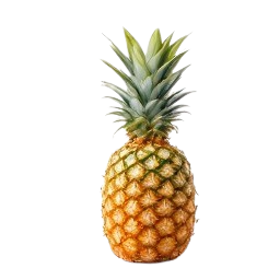 pina