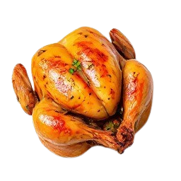 Pollo