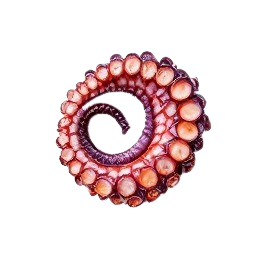 pulpo