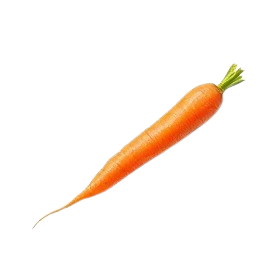 zanahoria